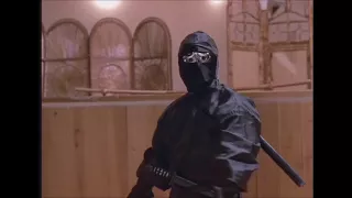 Revenge of the Ninja