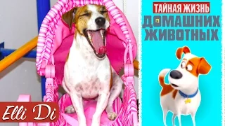 ТАЙНАЯ ЖИЗНЬ ДОМАШНИХ ЖИВОТНЫХ | ГОВОРЯЩАЯ СОБАКА ДЖИНА | Elli Di Собаки