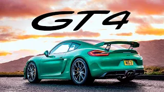 Porsche 981 GT4 : FULL REVIEW