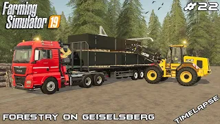 Selling broad pallets & logs | Forestry on Geiselsberg | Farming Simulator 19 | Episode 22