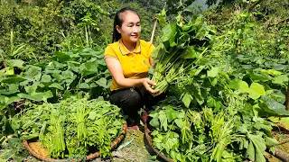 Harvest pumpkin vegetables goes to the market sell - Daily life | Ly Thi Tam