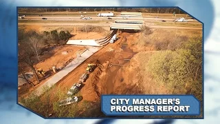 City Manager's Progress Report: March 2017