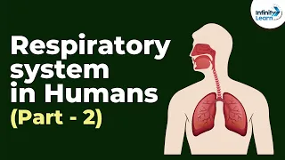 Respiratory system in Humans - Part 2 | Don't Memorise