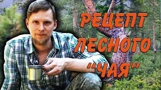 РЕЦЕПТ лесного ЧАЯ "Тайга".