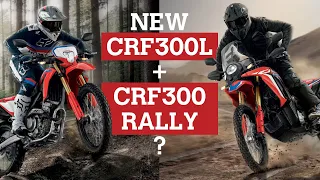 2022 Honda CRF300L and CRF300 Rally and progress on the UK Trans Euro Trail