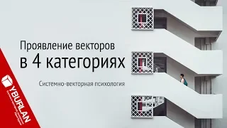 Проявление векторов в четырёх категориях. Системно-векторная психология. Юрий Бурлан