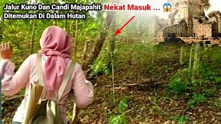 Candi dan jalur kuno majapahit ditemukan di dalam hutan