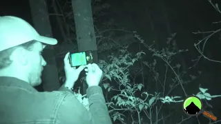 BIGFOOT IS HEARD YELLING IN NORTH CAROLINA FOREST! Amazing Audio and Tree Structures Found!