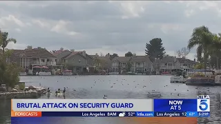 Brutal attack on security guard in upscale community