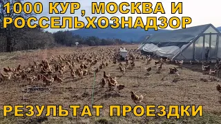 1000 кур и Россельхознадзор - Москва - результат поездки