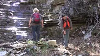 RMSO + 1 Rough Hollow Bear Cave, Poss Bigfoot Bedding spot & 11 inch foot print