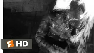 Creature from the Black Lagoon (6/10) Movie CLIP - The Creature Escapes (1954) HD