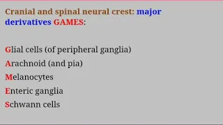 Best embryological mnemonics😊