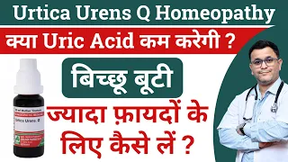 Urtica Urens Q homeopathic medicine uses Urtica Urens for uric acid Urtica urens mother tincture