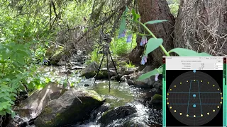 Ambisonic Environments: Forest - Manipulating Ambisonics