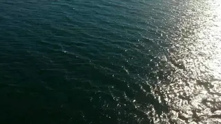 Extraño movimiento en lago Rosario"ver en fullHd"