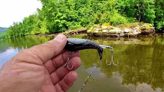 TOPWATER BLOWUPS! How To Fish The Whopper Plopper