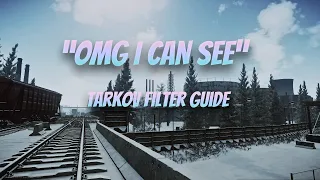 How To Actually See In Tarkov "filter guide"