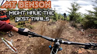 Mountain Biking on Vancouver Island- Mt Benson Nanaimo Delivers the Goods!