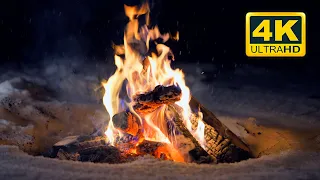 🔥 Crackling Campfire at Night in the Winter Forest (12 HOURS). Campfire with Crackling Fire Sounds