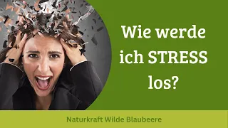 STRESS: Immunpower aus der wilden Blaubeere / Heidelbeere? Mit @juttasuffner