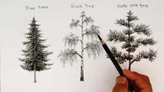 How to draw different types trees by pencil for beginners.