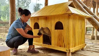 How to make a dog house - Building a new life - Trieu Mai Huong