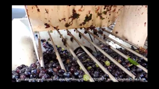 grape stem removal machine/grape destemmer with crusher/grape stemmer crusher
