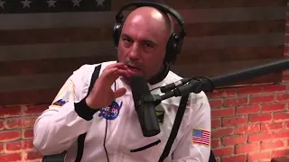 Joe Rogan on the Logan Paul Controversy