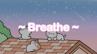 Breathe and Relax with Lofi Kitties 🍃🌟 Cute Music to Calm your Mind and Body 💖🐈