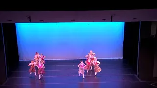 Moldavian Dance Virginia Ballet Company