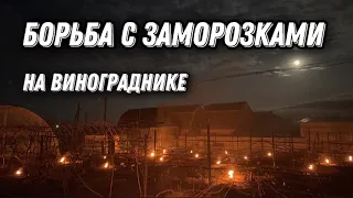 Борьба с заморозком на винограднике 27 апреля 2021 года