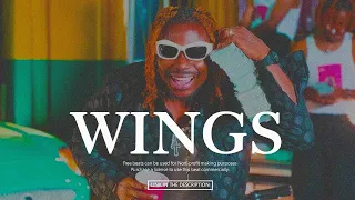 "Wings" Asake x Young John Amapiano Type Beat | Afrobeat Instrumental 2024