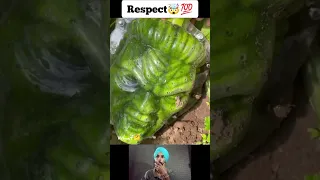 Respect💯🤯 || The Face given to the Pumpkin