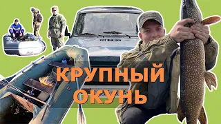 Ловля крупного окуня на спининг в Сибири