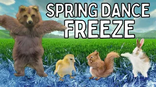 Spring Dance Freeze - Brain Break Movement Workout Game