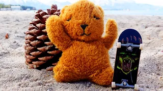 FINGER SKATEBOARD | NEW GRIZZLY BOARD | FINGERBOARDING BEAR at the forest and the beach | Tech Deck