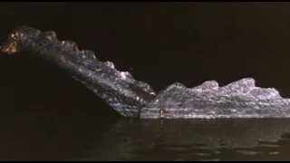 Nessie steigt aus dem Vierwaldstättersee 1976