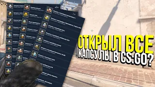 КУПИЛ ВСЕ КАПСУЛЫ В CS:GO И ОТКРЫЛ ИХ? ВОЗМОЖНО ЛИ ОКУПИТЬСЯ?