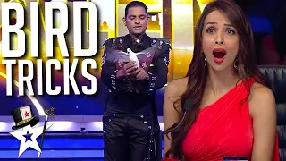 Magician Conjures BIRDS To The Stage on India's Got Talent | Magicians Got Talent