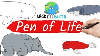 ANGRY EARTH - The Pen of Life