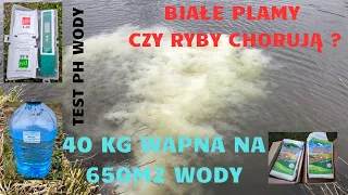 Wapnowanie stawu 40kg na 650m2 wody