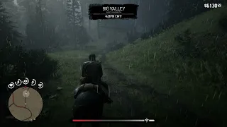 Perfect Timing in RDR2...