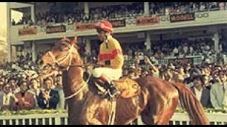 Elusive Pimpernel ridden by Aslam Kader The Indian Derby 1995