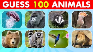 Guess 100 Animals in 3 Seconds 🦝🦔🐯 Easy, Medium, Hard, Impossible