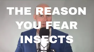 Phobia Guru explains the Fear of Insects known as Entomophobia