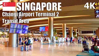 Discover Changi Airport Terminal 2 Transit Area, Singapore 🇸🇬 – Virtual Walk [4K] (▶65 min)