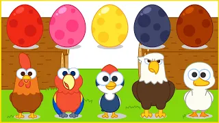 Bingo Song Baby song Surprise Egg With Birds Stamp Transformation play - Nursery Rhymes & Kids Song