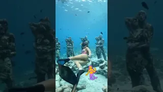 Sereia em lindo mergulho.