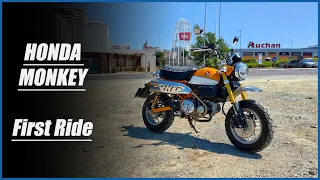 Honda Monkey - First Ride
